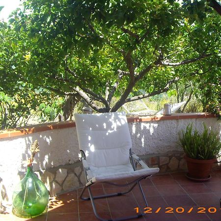La Bianca Scogliera Bed & Breakfast Realmonte Exterior photo